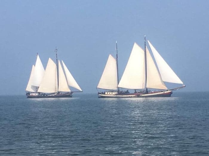 Waddenrace 2026 — Meezeilen op de Waddenzee vanuit Harlingen